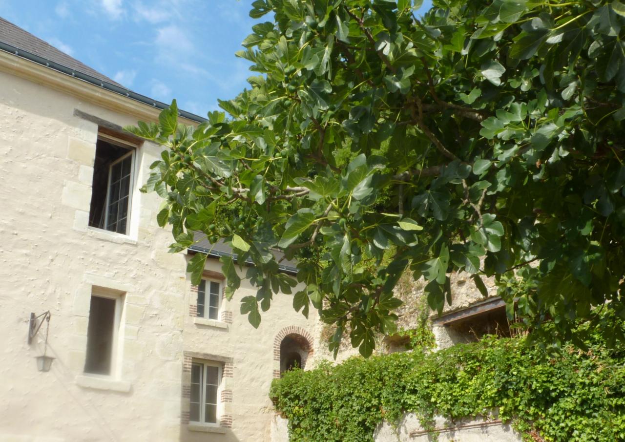 Rénovation immobilière, Loire Rénovation, pocé sur Cisse