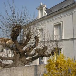 MAIRIE DE CHANCAY