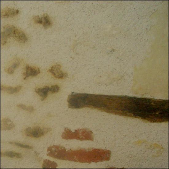 poc-avril-24.jpg